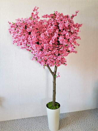 Kvitnúci strom- sakura 180cm 