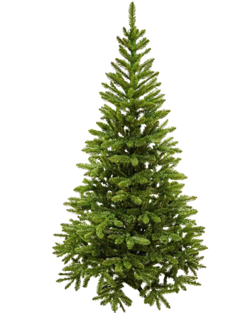 Jedlička Tatiana 200cm 