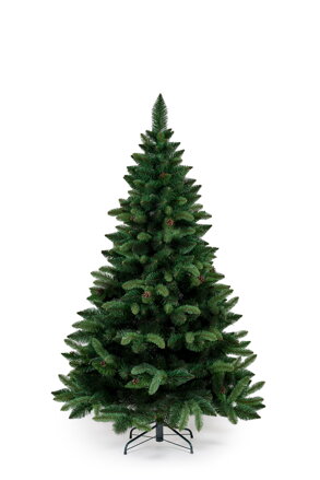 Borovica so šiškami- 160 cm