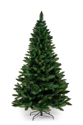 Borovica so šiškami- 250 cm