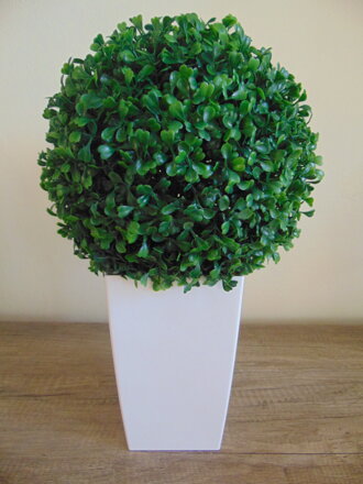 Buxus koule v květináči 35cm