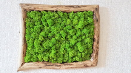 Mechový obraz v asymetrickém rámu 40cm x 30cm