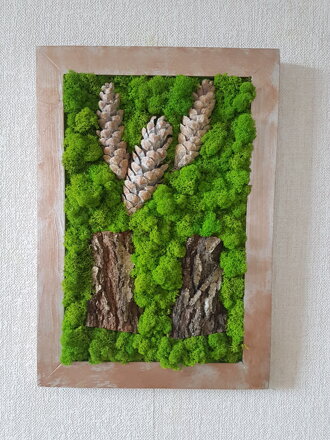 Machový obraz so šiškami a kôrou 50cm x 30cm