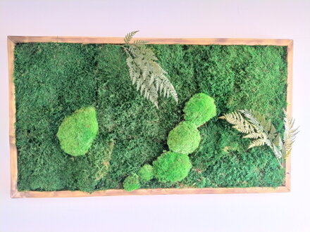 Mechový obraz- lesní mech s kapradím 50cm x 90cm