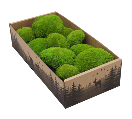 Stabilizovaný kopčekový mach svetlozelený (0.1m²)