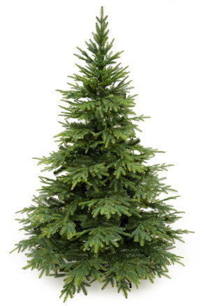 Smrek Kaukazský 3D- 220cm