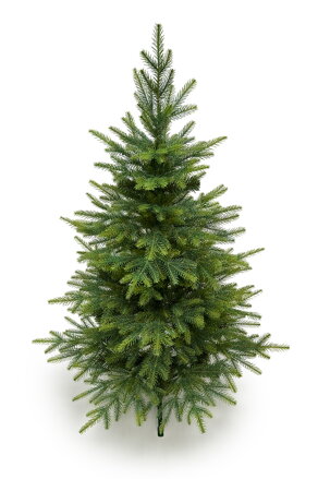 Smrek Kaukazský 3D- 160cm