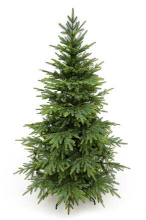 Smrek Kaukazský 3D- 190cm