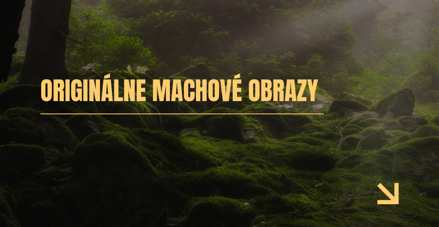 Zľava na machový obraz: 20%