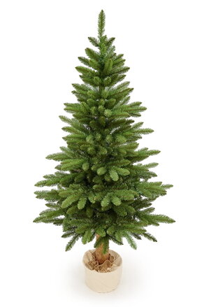 Jedľa Karpatská na pni 190cm