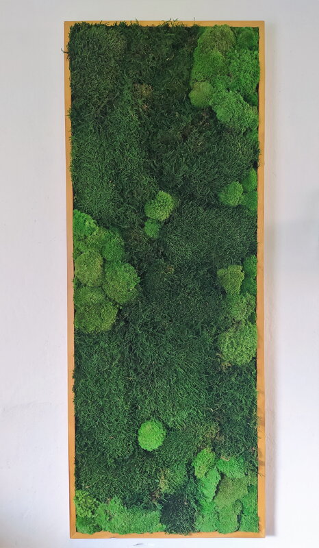 Machový obraz lesný mach+ kopčekový 130cm x 65cm 