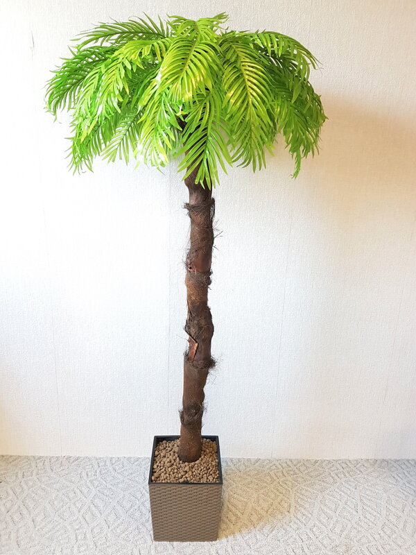 Umelá palma- svetlá s kôrou 200 cm 