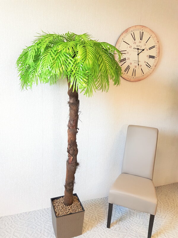 Umelá palma- svetlá s kôrou 180 cm 