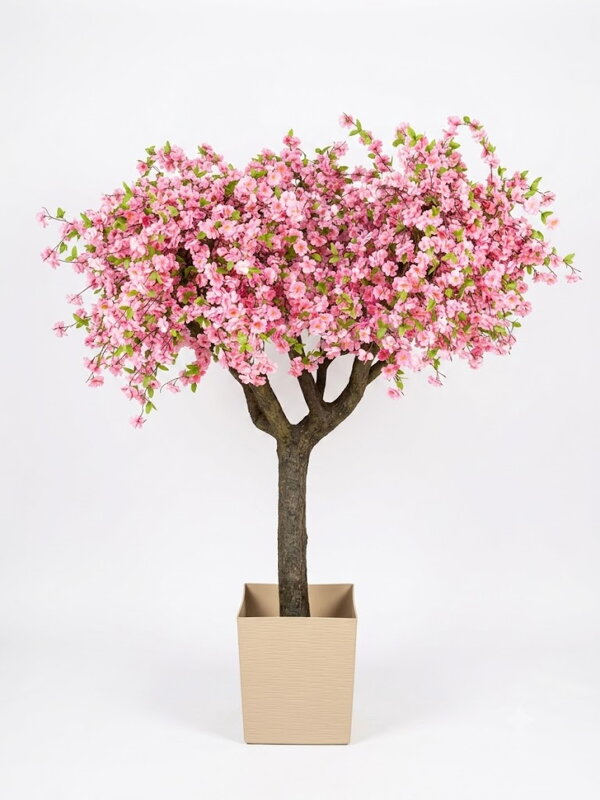 Kvitnúci strom sakura- extra široká koruna 200cm