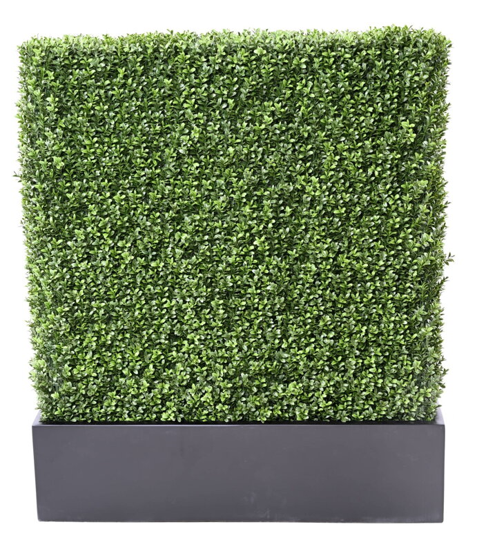 Zástena buxus 100cm x 60cm