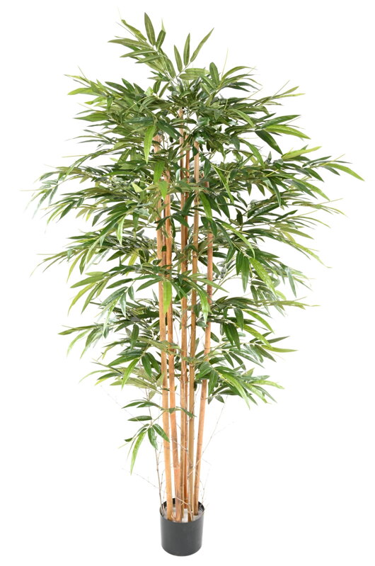 Umelý Bambus 200 cm Umelý Bambus 200 cm