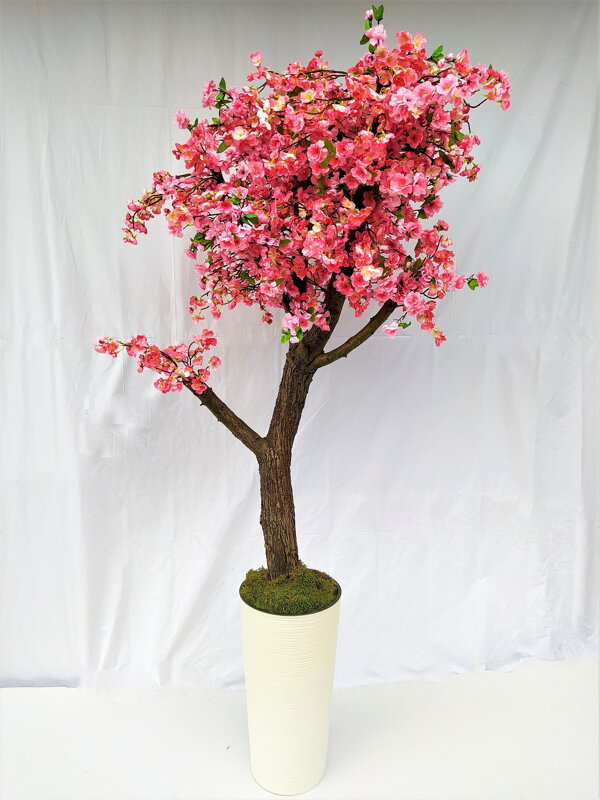 Kvitnúci strom- Japonská čerešňa 180cm 