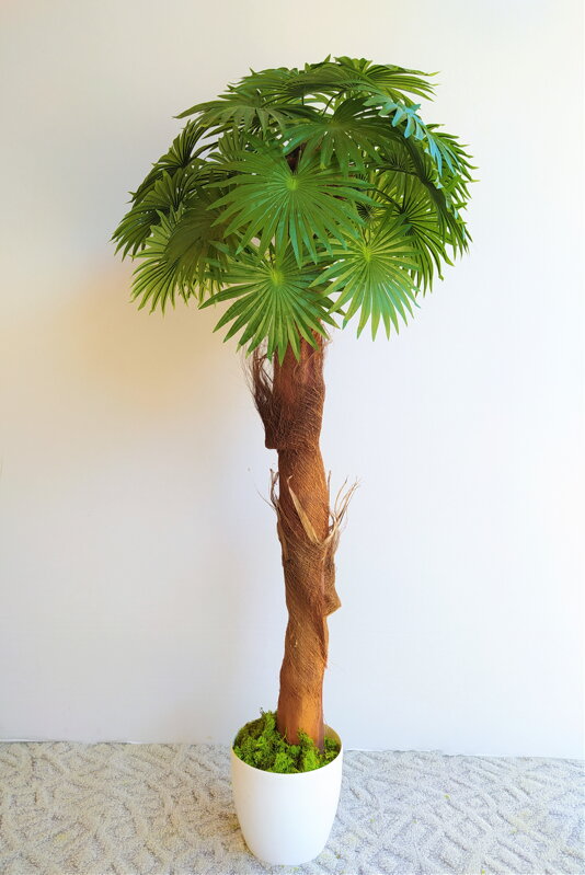 Umelá washingtonská palma 120cm 