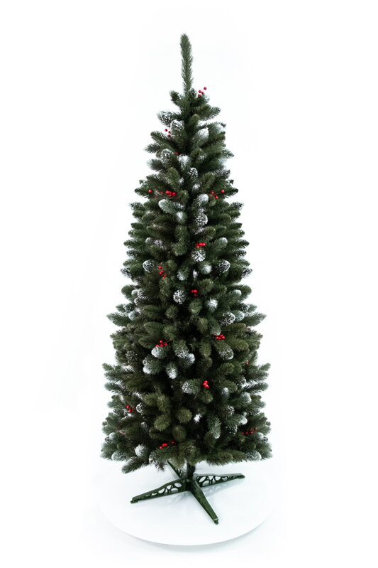 Borovica s jarabinou Slim- 220cm