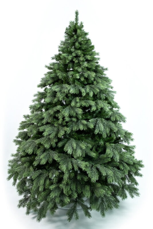 Borovica Aurora široká 3D 170cm