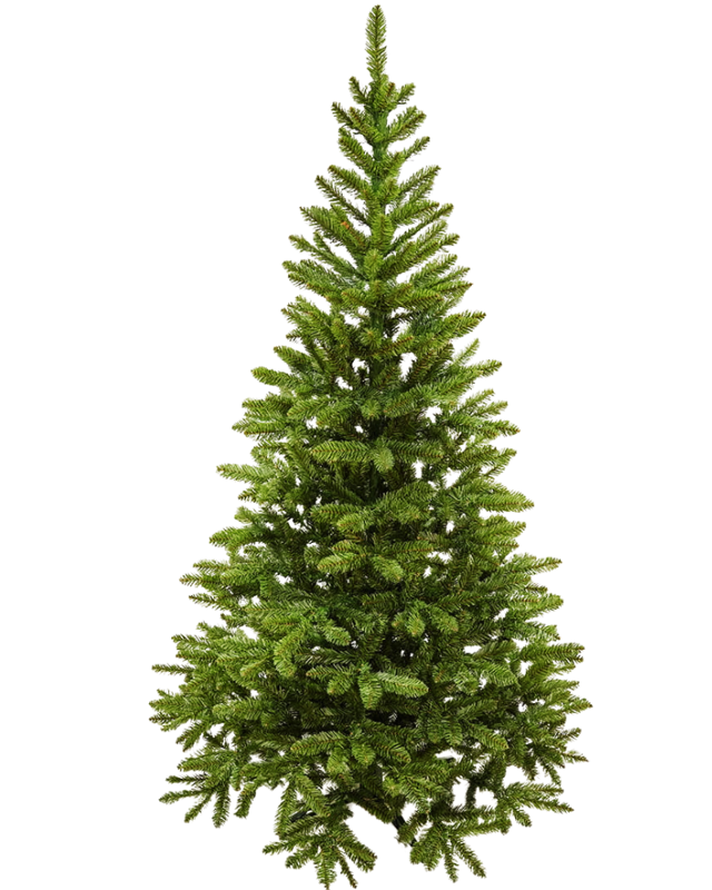 Jedlička Tatiana 200cm 