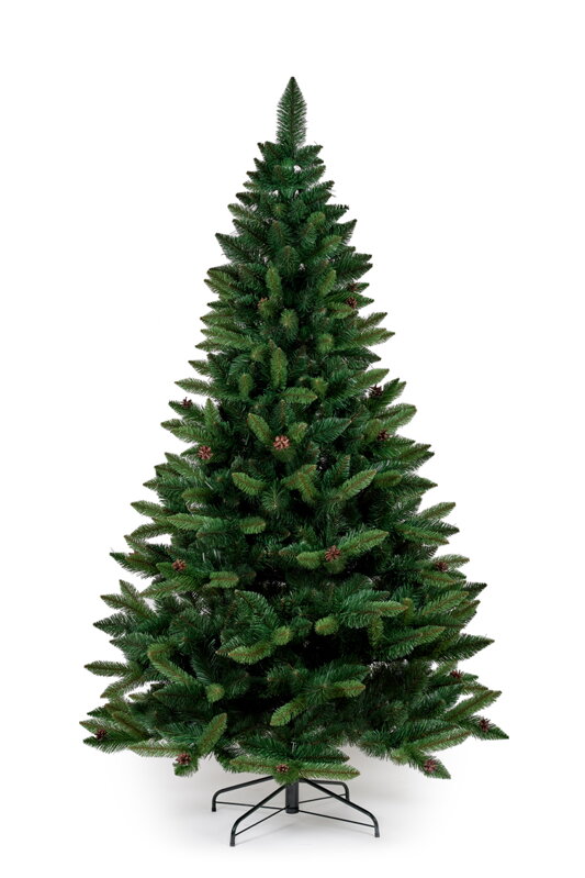 Borovica so šiškami- 250 cm Borovica so šiškami- 250 cm