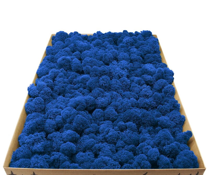 Stabilizovaný fínsky (sobí) mach 4kg- modrý