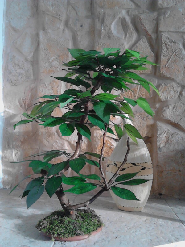 Umelý bonsaj- Fikus zelený 50 cm