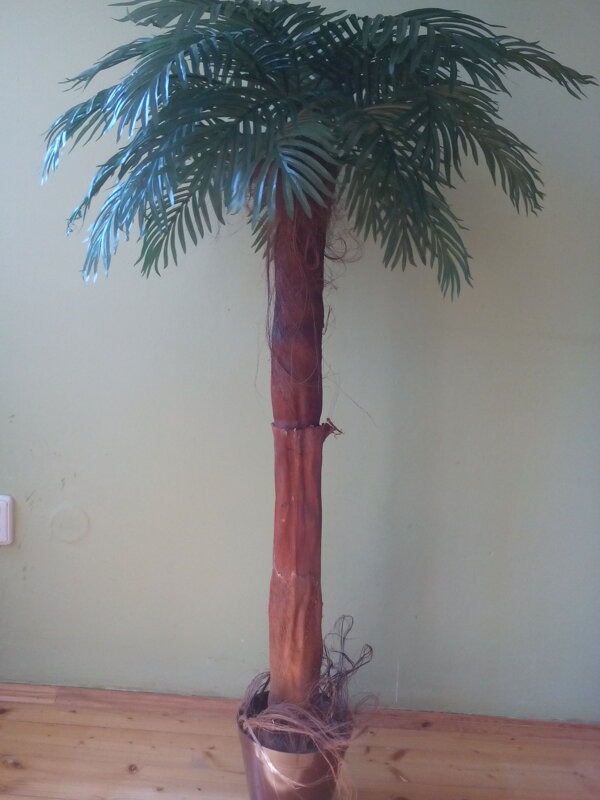 Palma areca 130 cm