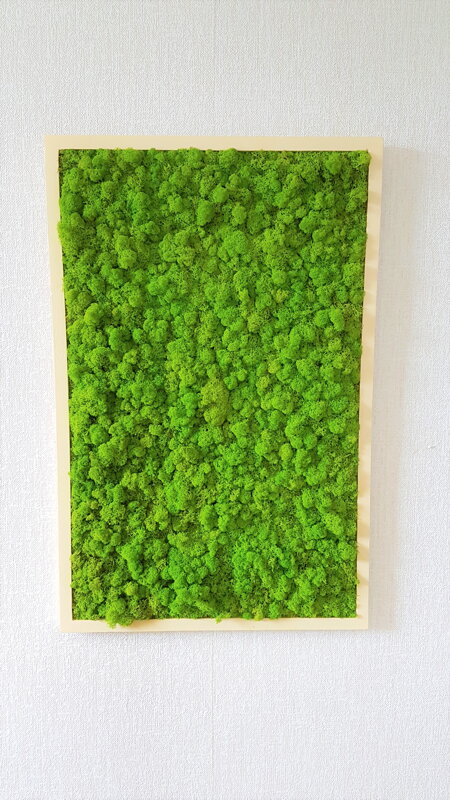 Mechový obraz v dřevěném rámu 100cm x 65cm Mechový obraz v dřevěném rámu 100cm x 65cm