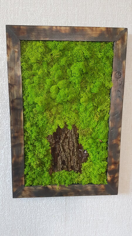 Mechový obraz s přírodním dřevem 50cm x 30cm Mechový obraz s přírodním dřevem 50cm x 30cm