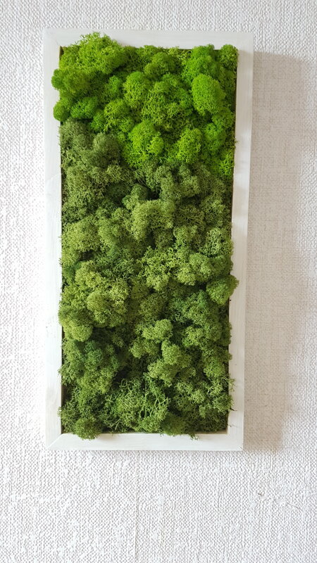 Dvojfarebný machový obraz 15cm x 30cm Dvojfarebný machový obraz 15cm x 30cm