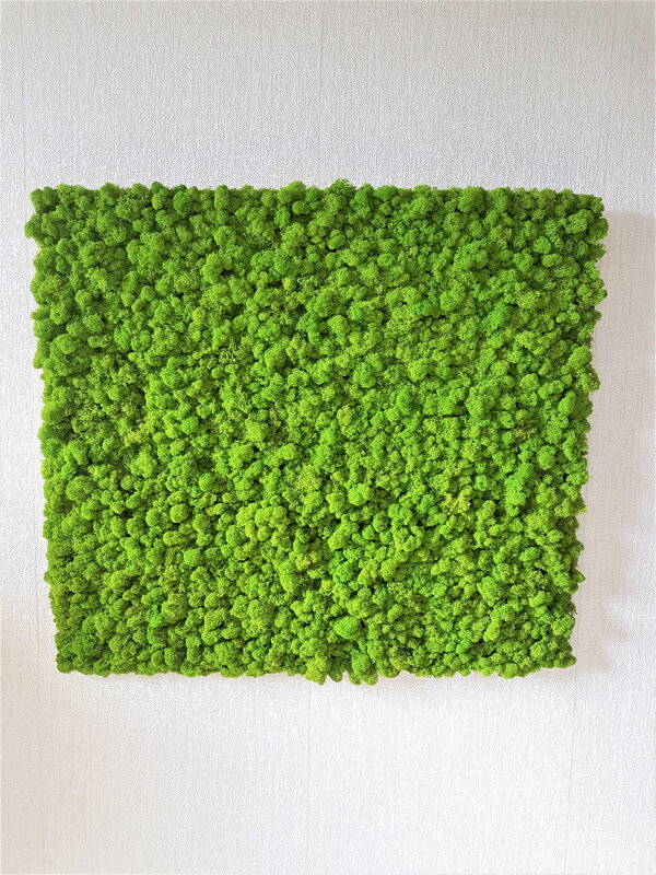 Machový panel 90cm x 100cm Machový panel 90cm x 100cm