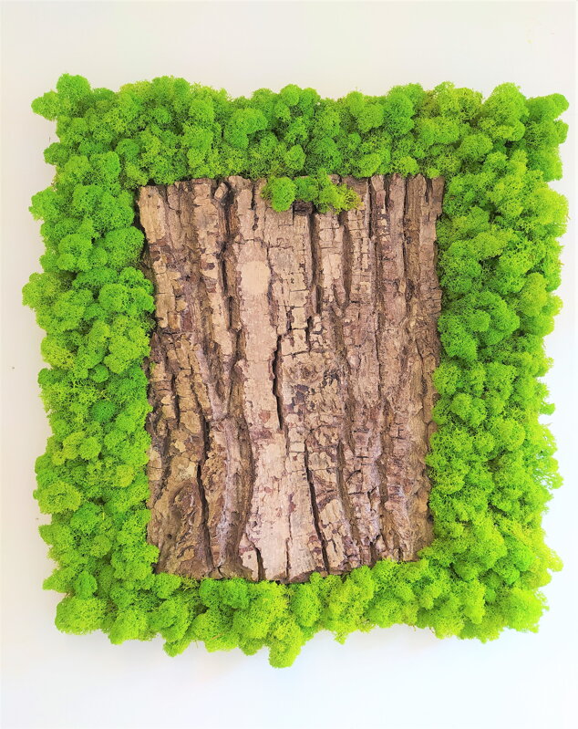 Machový obraz s kôrou 50cm x 50 cm Machový obraz s kôrou 50cm x 50 cm