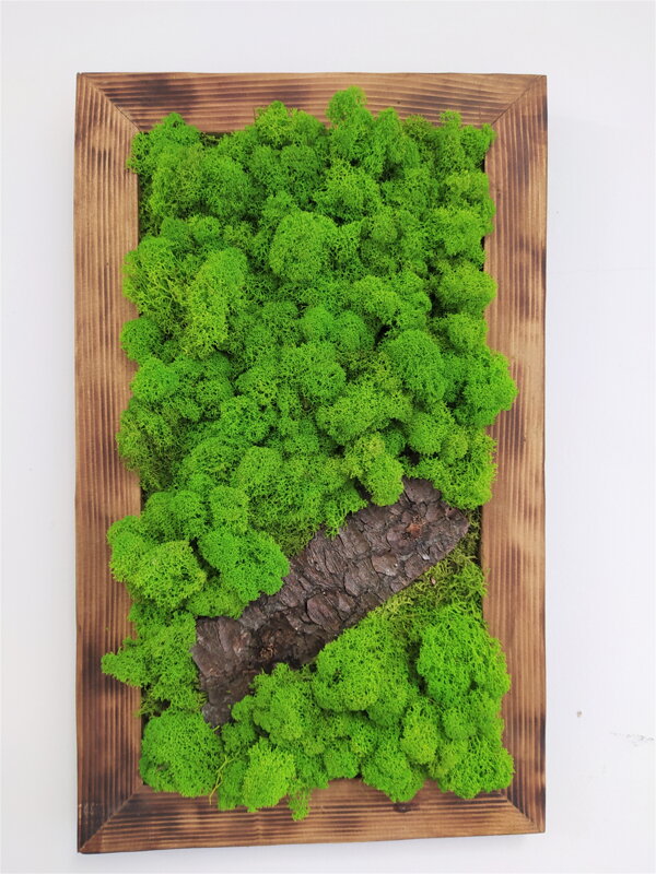 Machový obraz s prírodným drevom 60cm x 40cm