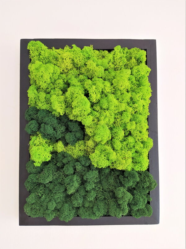 Dvojfarebný machový obraz 40cm x 30cm v čierom ráme Dvojfarebný machový obraz 40cm x 30cm v čierom ráme