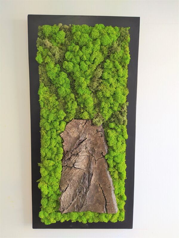 Machový obraz s prírodnou kôrou 100cm x 45cm Machový obraz s prírodnou kôrou 100cm x 45cm