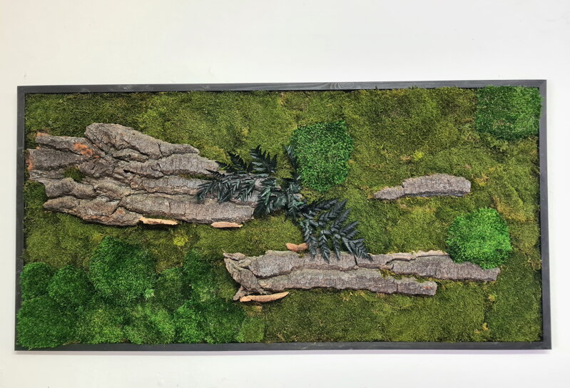 Machový obraz- lesný + provence mach a kôra 50cm x 100cm 