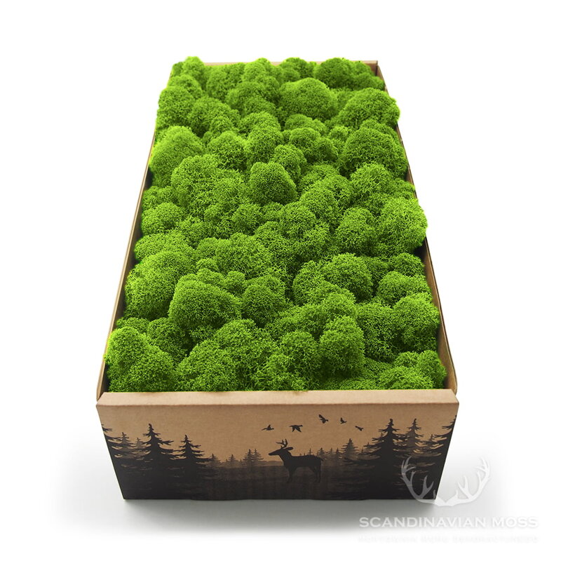 Stabilizovaný fínsky (sobí) mach 250g-  May Green