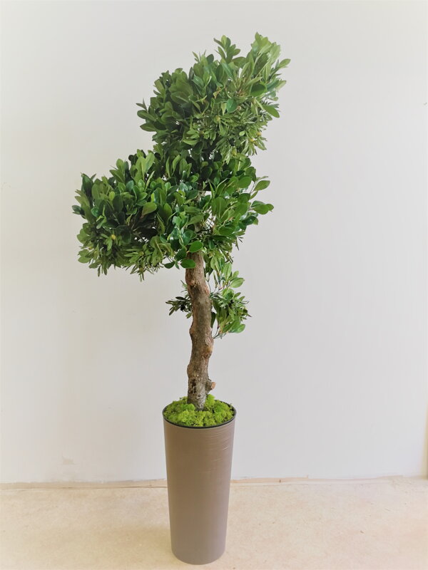 Umelý strom- Olivovník 160cm 