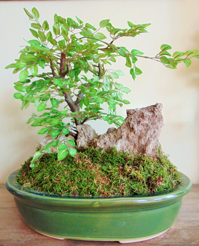 Umelý bonsaj 