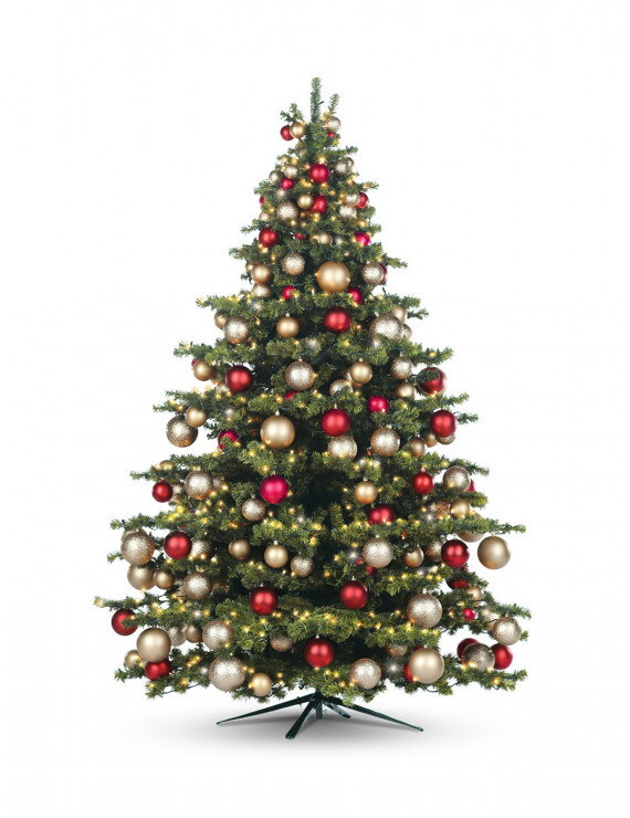 Vianočný stromček Exclusive 210cm 