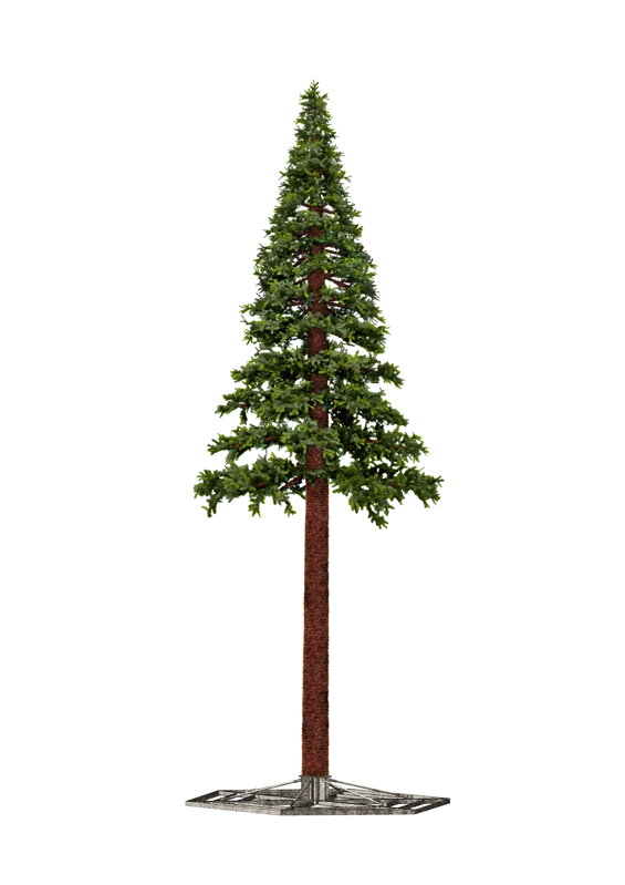 Vianočný stromček Borovica do exteriéru 580cm 