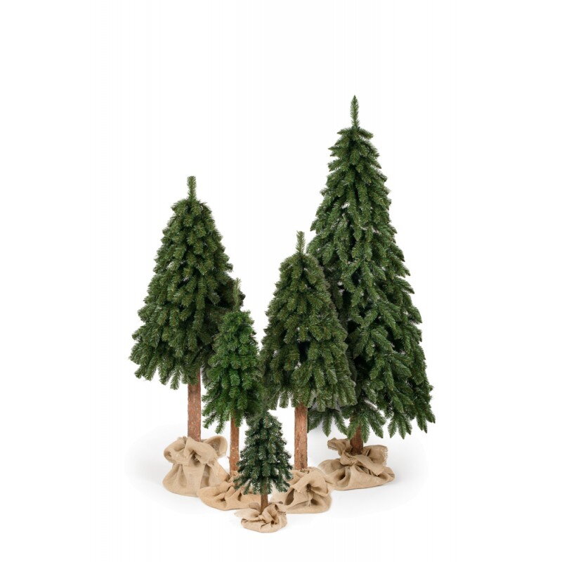 Vianočný stromček- Smrek prírodný na dreve 210 cm