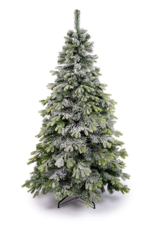 Borovica kanadská zasnežená 220cm Borovica kanadská zasnežená 220cm