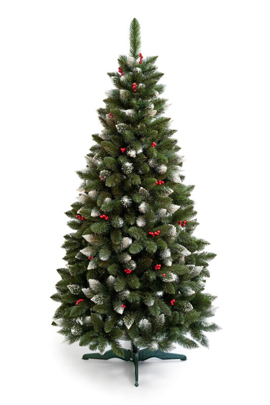 Vianočný stromček- Borovica Iza červená 240cm Vianočný stromček- Borovica Iza červená 240cm
