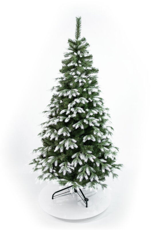 Borovica kanadská 3D- 210cm 