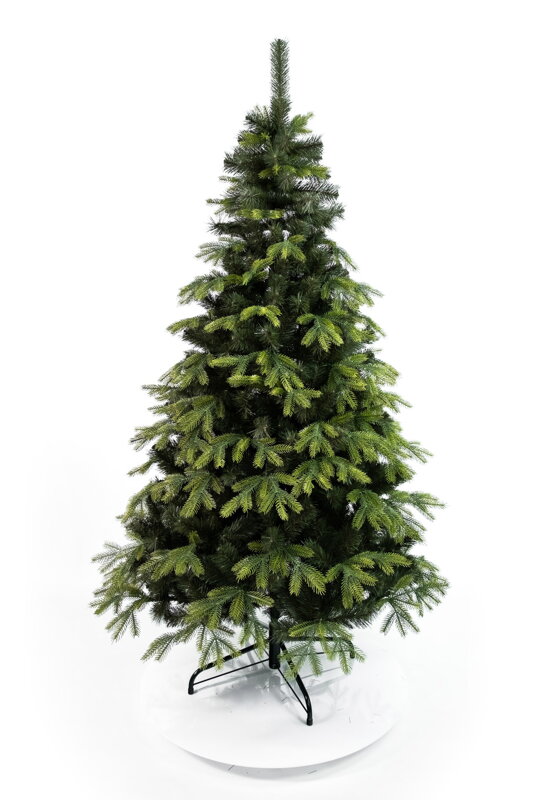 Borovica kanadská 150cm 