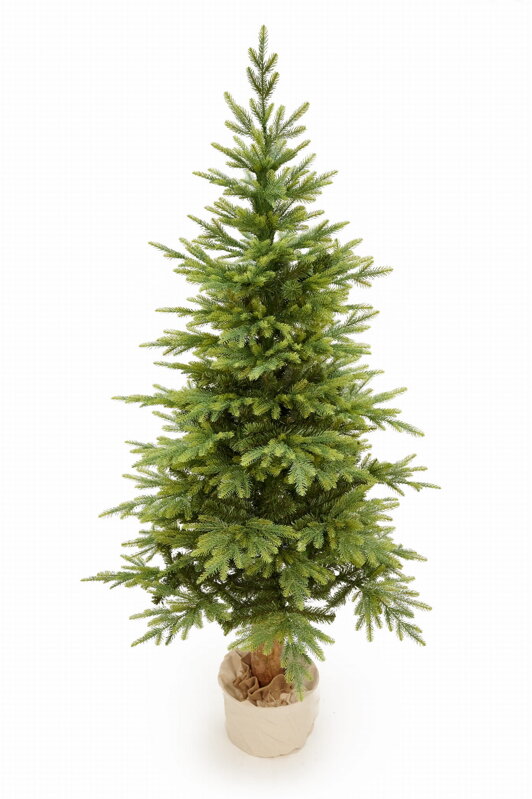 Smrek Bavorský na pni 3D- 220cm 