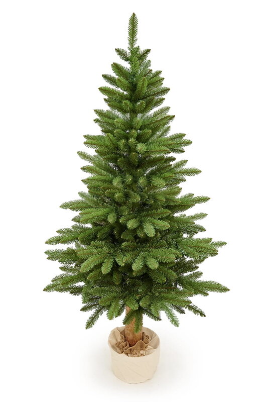 Jedľa Karpatská na pni 190cm